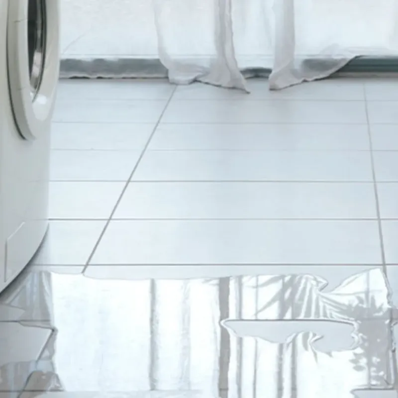 Appliance Leak Cleanup in Raceland, LA