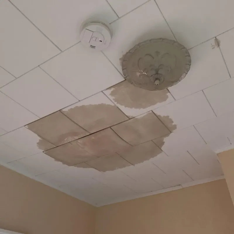 Ceiling Water Damage Repair in Raceland, LA