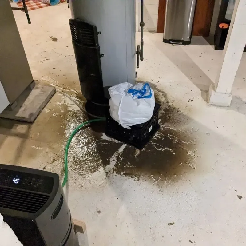 Sewage Backup Cleanup Service in Raceland, LA